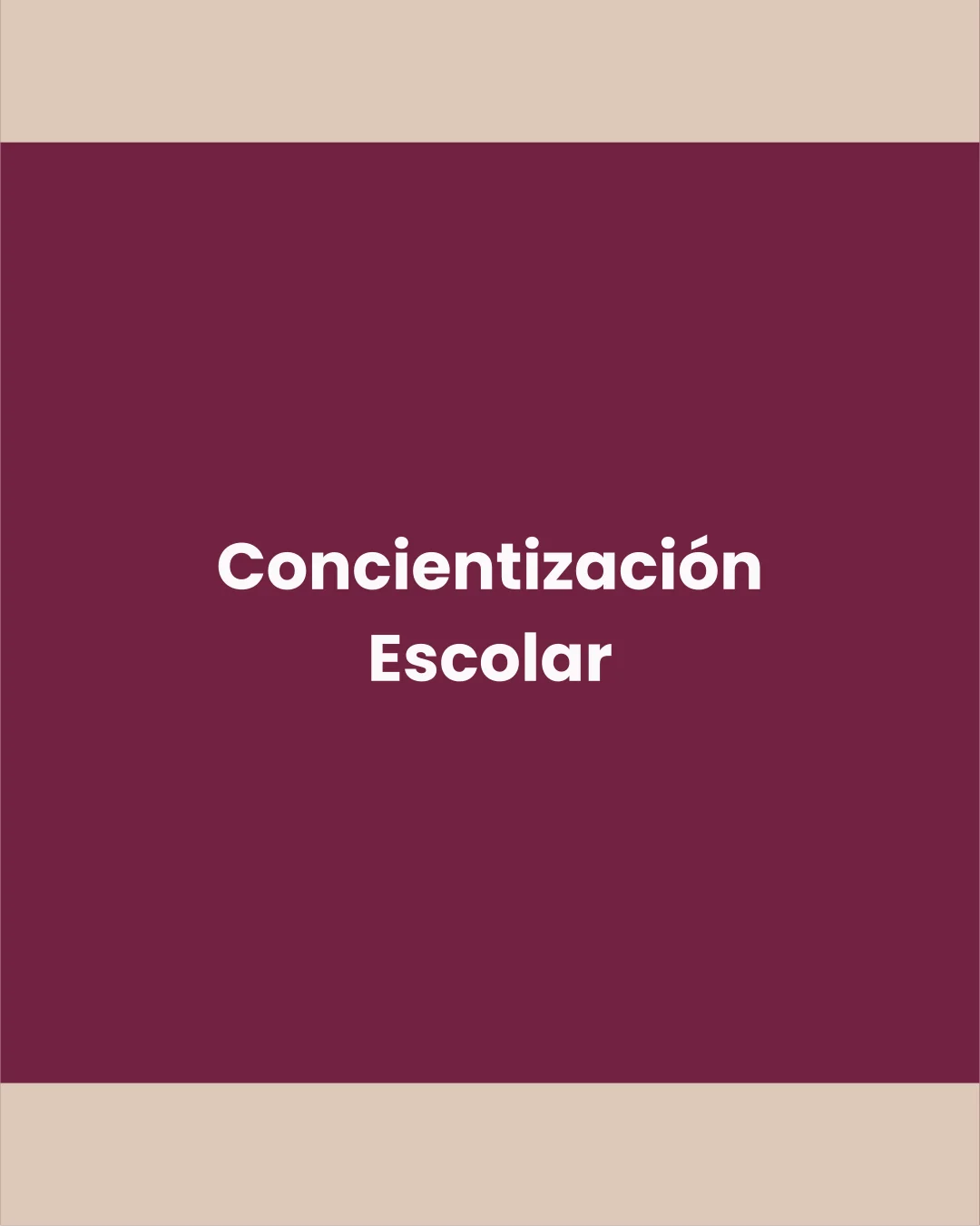 Techados Escolares